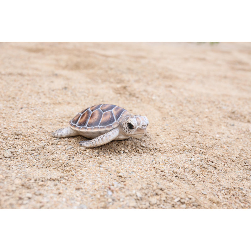 SMALL SEA TURTLE