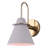 Salem Dimmable Bath Sconce