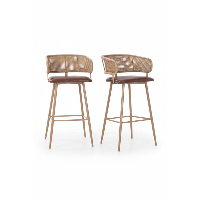Tabouret de bar à hauteur de comptoir avec dossier en rotin Bauhaus