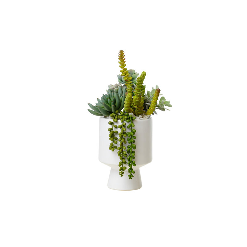 Succulents Arrangement in White Cylinder Urn