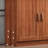 Classic Popularity Storage Shoe Cabinet