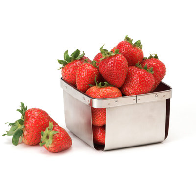 4-80828 – 4" Square Berry Basket, 2.5" Tall