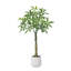 Adcock Artificial Ficus Tree with Round White Planter, Pre Potted Faux Money Tree for Home Decor-298643299