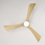 Ventilateur de plafond 52 po avec lumières-121082903-121082901