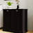 Black Laundry Holder - E1 , Fine Painting Sorter Cupboard. Fashionable Design, Fits All Decor. For A Smooth Surface. Two Compartments With Removable Bags. Holds Up To 100 Pounds. Assembly Required-470606629