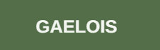 Logo GAELOIS