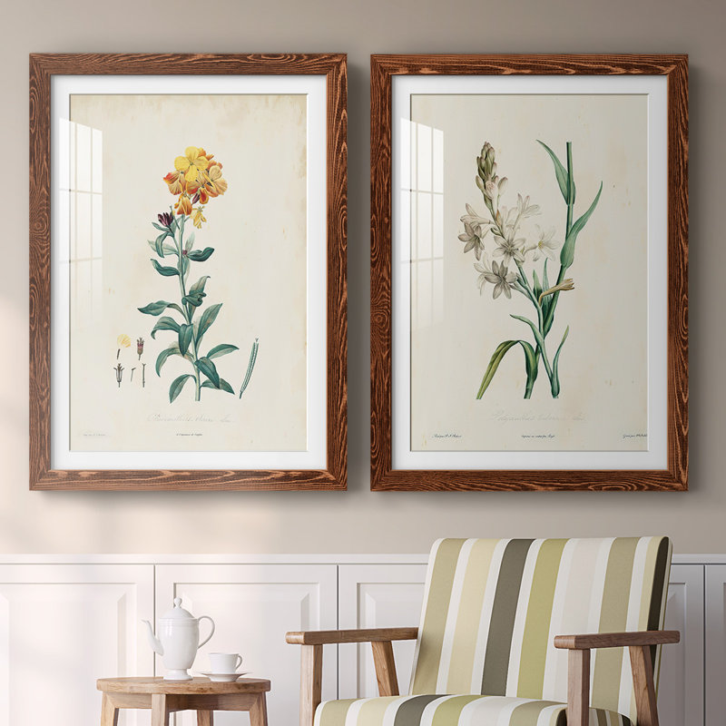 «Traditional Botanical III», reproduction encadrée de qualité supérieure - prête à être accrochée, Érable