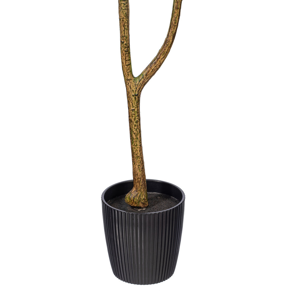 Milan Leaf Tree in Pot, 48" H x 26" W x 26" D