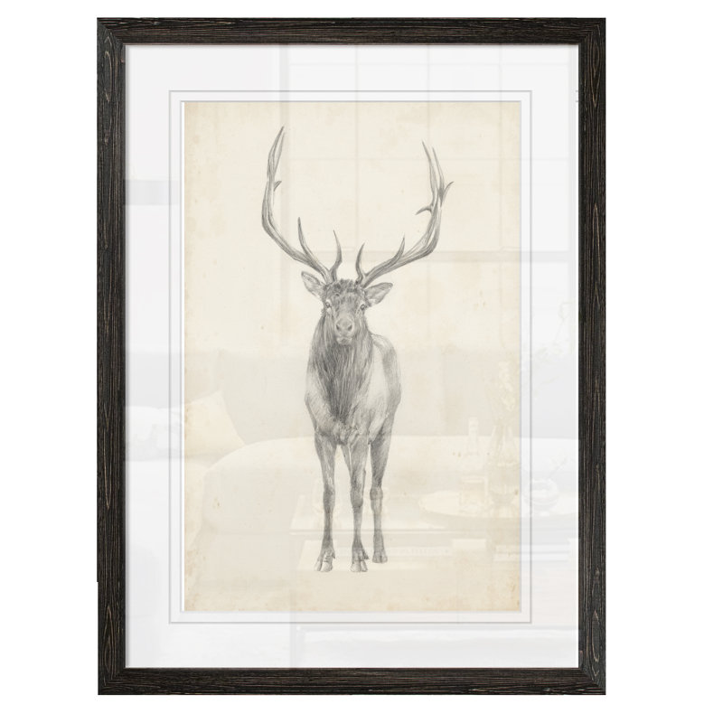 « elk study » par paul cezanne-photo-cadre, reproduction d’art, H 24 po x l 18 po x P 1,25 po, Papier encadré ébène