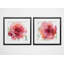 « bold rosé », ensemble de 2 reproductions encadrées-27610084