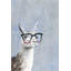 Sacha Smart Llama IV, reproduction sur toile tendue-1680904563