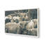 «Family Portrait» par Nathan Larson, reproduction d'art-485365521-485365527