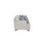 Love Love Birch - 4 coussins en duvet