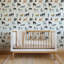 Dog Days - Wallpaper-544389415-544389418-536905741
