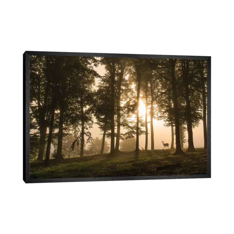 Deer In The Morning Mist. by Leif Londal - Print on Canvas, 45.72cm H x 66.04cm W x 3.81cm D, Black Floater Framed