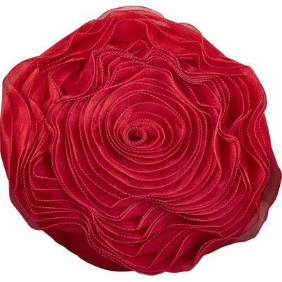 Novelty Pillow Cover & Insert