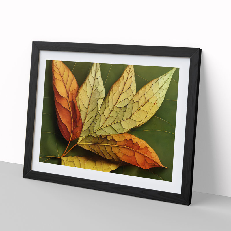 Autumn Leaf - Single Picture Frame Print, Black Framed, 34cm H x 46cm W x 2cm D