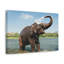 Impression d'art majestueux éléphant d'Asie-2053866316