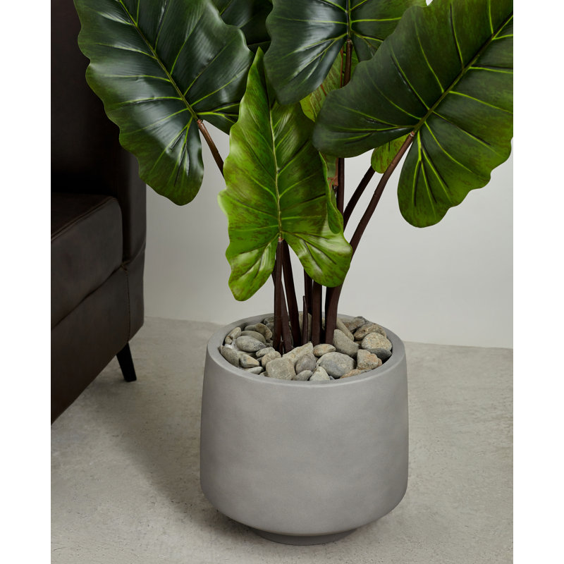 Pot à fleurs en ciment Finnuala, Gris ciment, H 14,5 po x l 15 po x P 15 po