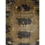 Carapaced Motif IIIV Print by Austin Beiv-26925550-26925552