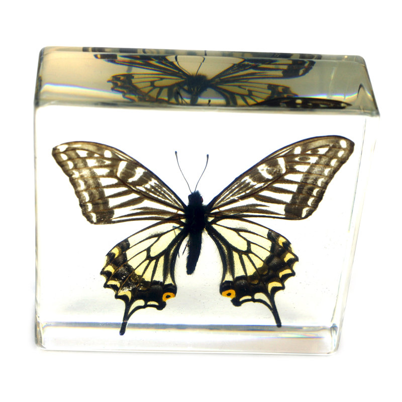 Presse-papiers papillon asiatique rameriz