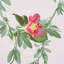 Ellesmere Ribbon Floral Fabric-38453933