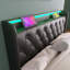 Upholstered Bed With 360 Surround LED Function-121066601-121066602