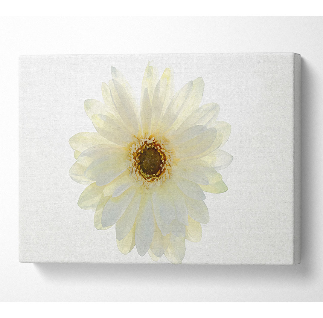 Weiß auf Weiß Daisy Face - Druck