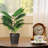 Artificial Green Plant Combo