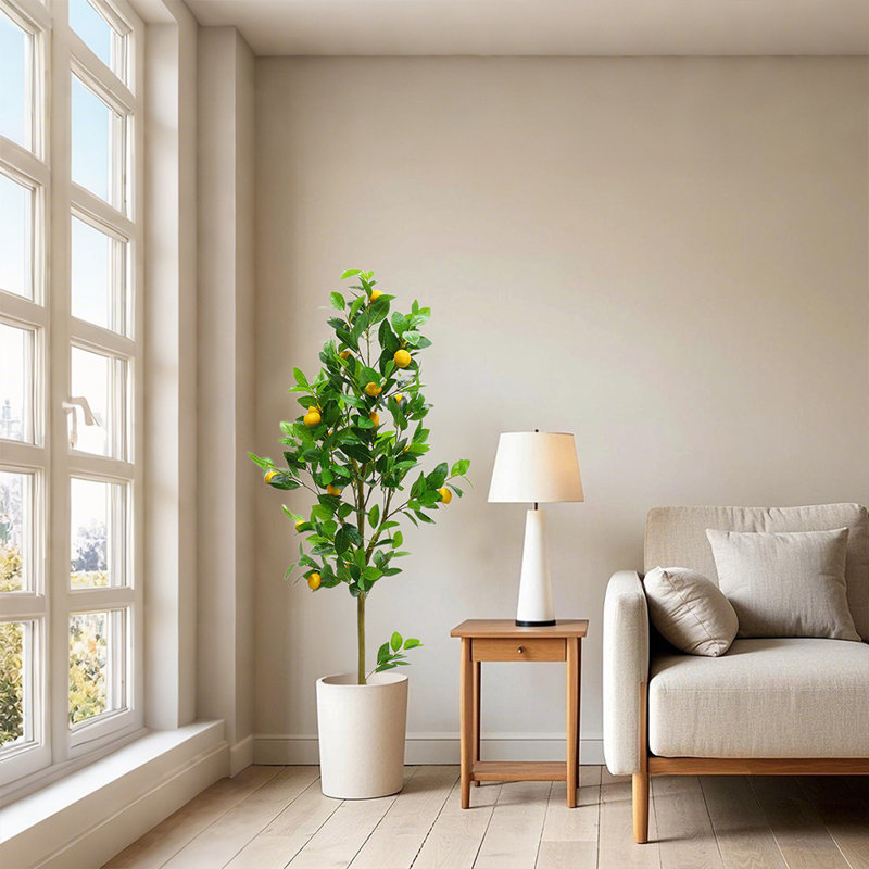 150cm Plant