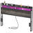 40.79"H Queen Headboard With Charging Station And Led Light