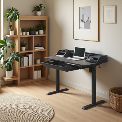 Larreon Electric Height Adjustable Standing Desk by Inbox Zero