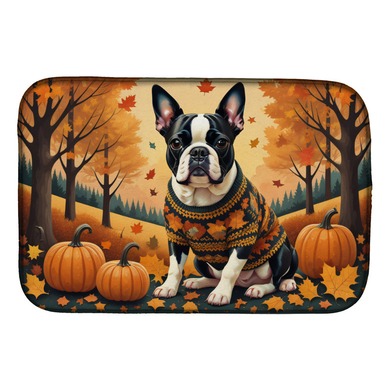 Drying Mat