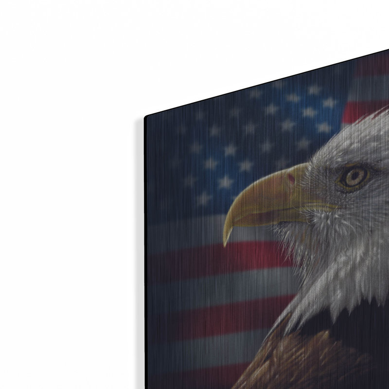 «American Bald Eagle» par Collin Bogle, H 12 po x l 12 po