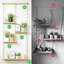 Tablette murale plante