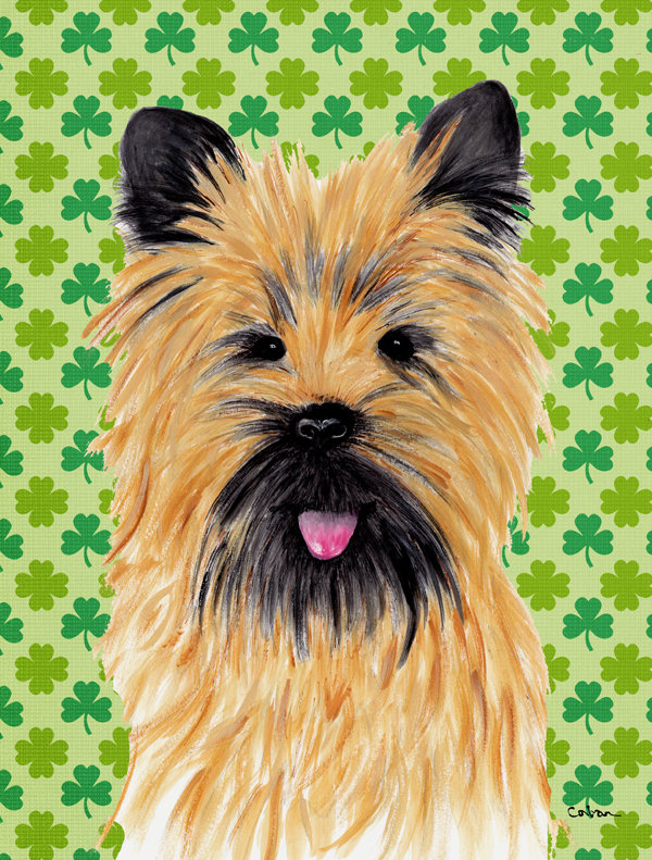 Drapeau de jardin à 2 côtés st. patrick day trèfle, Cairn terrier (brun et noir)