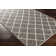 Geometric Indoor Rug