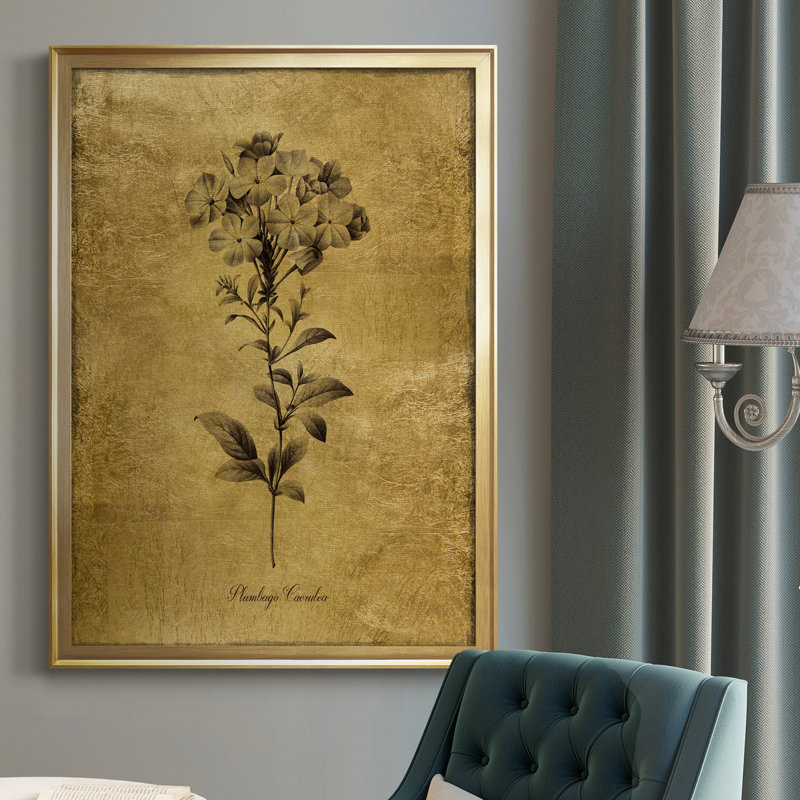 Ameelya, croquis dorés botaniques II, impression sur toile encadrée, H 26,5 po x l 36,5 po x P 1,5 po, Or