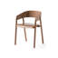 Arm Chair