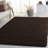 Angeliya Shag Performance Solid Color Rug-19276427-128454010