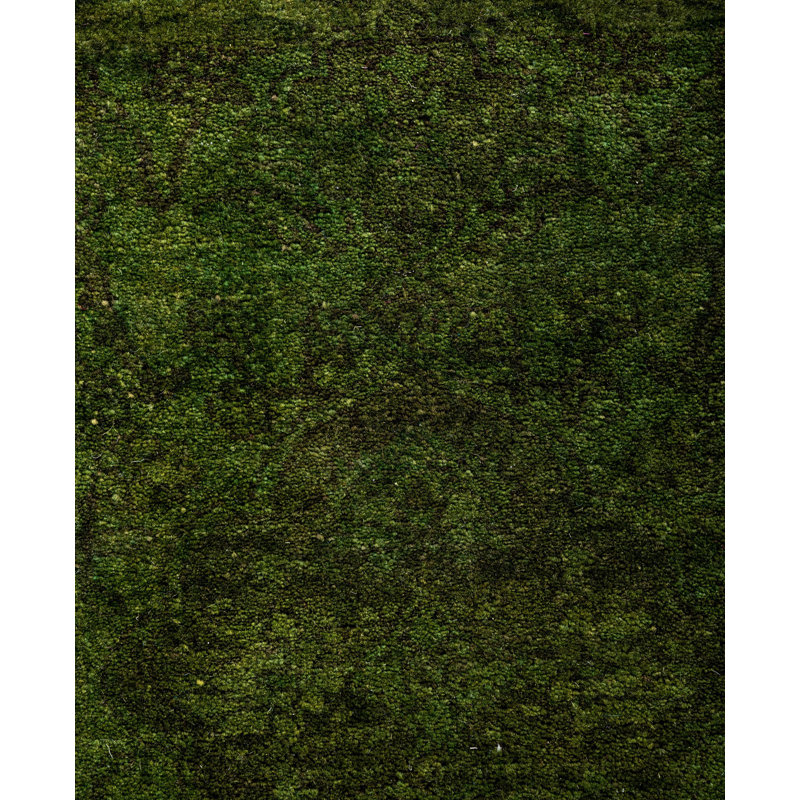 Overdyed One-of-a-Kind 4' 2" X 6' 0" Hand Knotted Area Rug