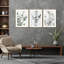 Nature Inspired Eucalyptus by  - 3 Piece Picture Frame Photograph Set on Paper-81387727