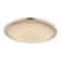 Johnston LED Flush Mount