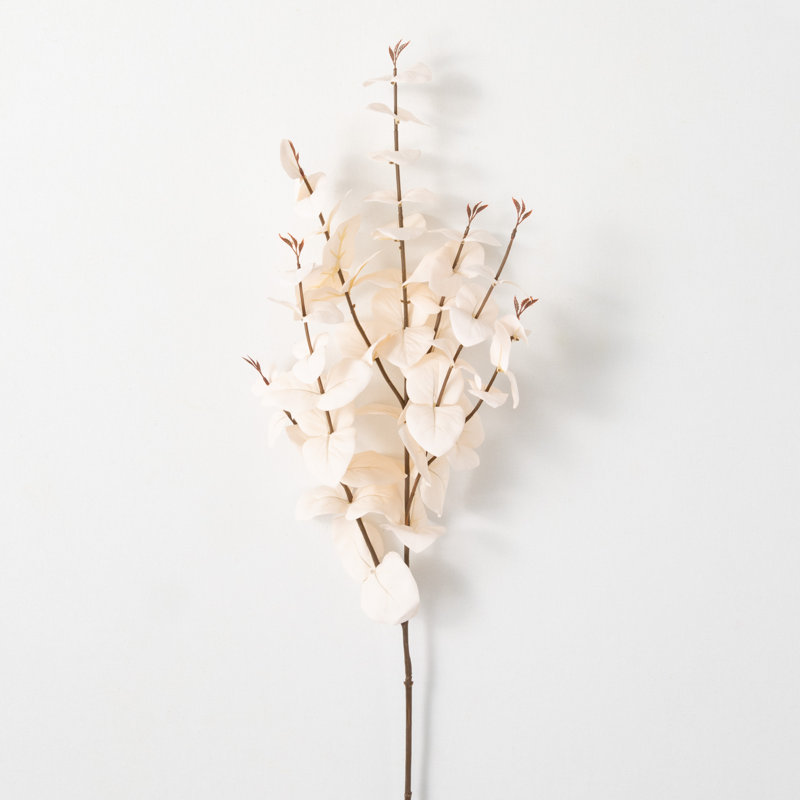 Eucalyptus Sprays