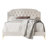Dwaun Upholstered Platform Bed-797771565-797771566