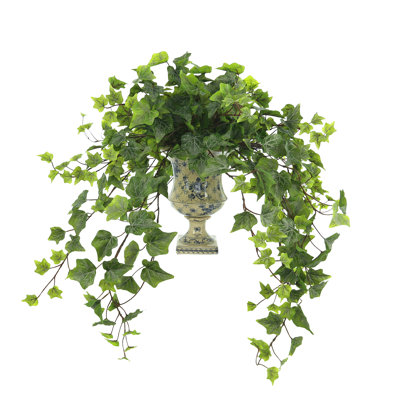 Rio Faux Ivy Plant in Ceramic Vase
