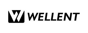 Wellent Logo