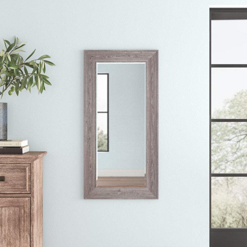 Miroir de salle de bain Hoggan, 48 po x 24 po