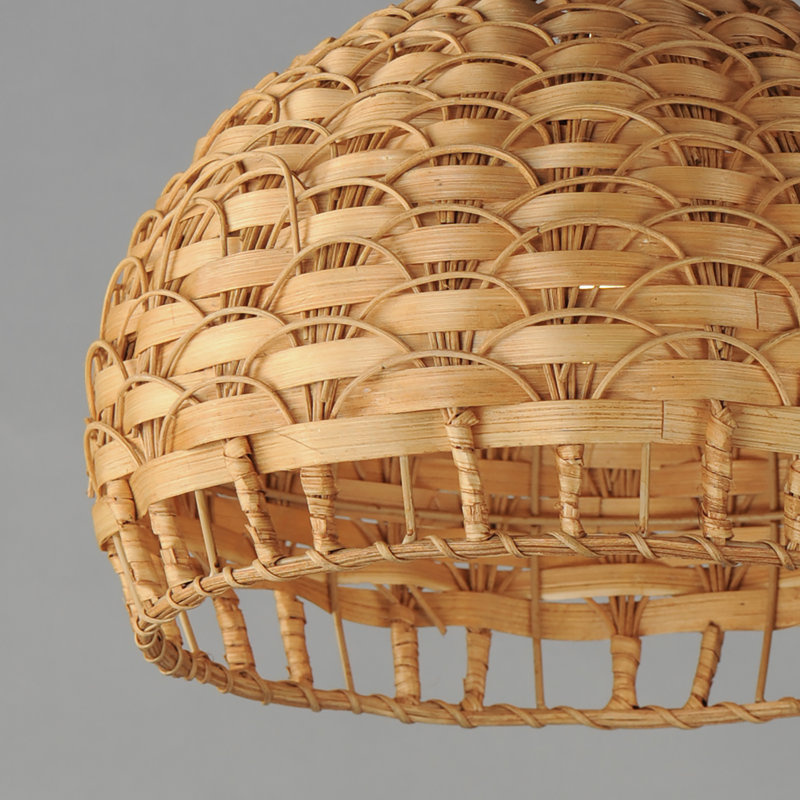 Luminaire suspendu noir à 1 lumière Woodsdale