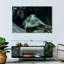 Tortue de mer verte Brampt-108816112